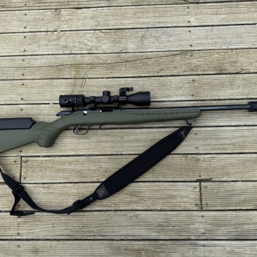 Ruger 10/22 - Bolt Action